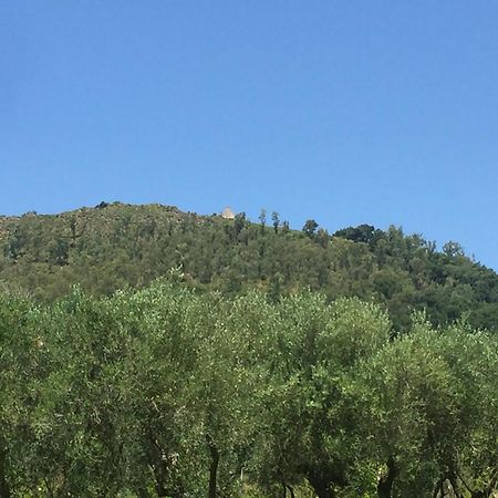 Il Borgo Sul Lago Pizzo Kültér fotó