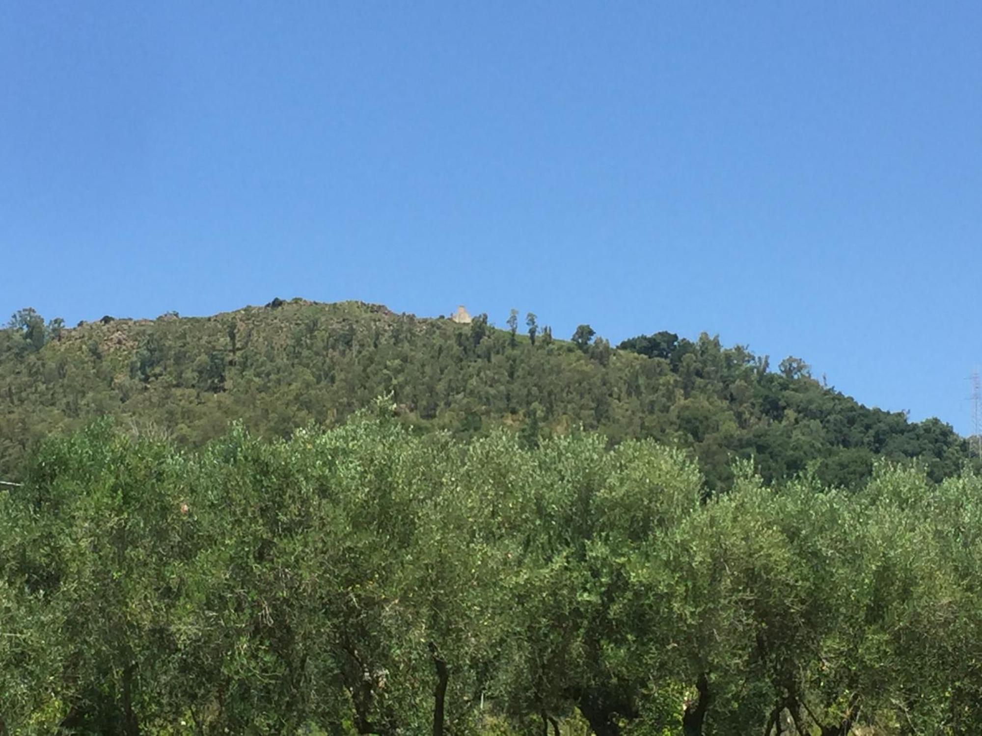 Il Borgo Sul Lago Pizzo Kültér fotó