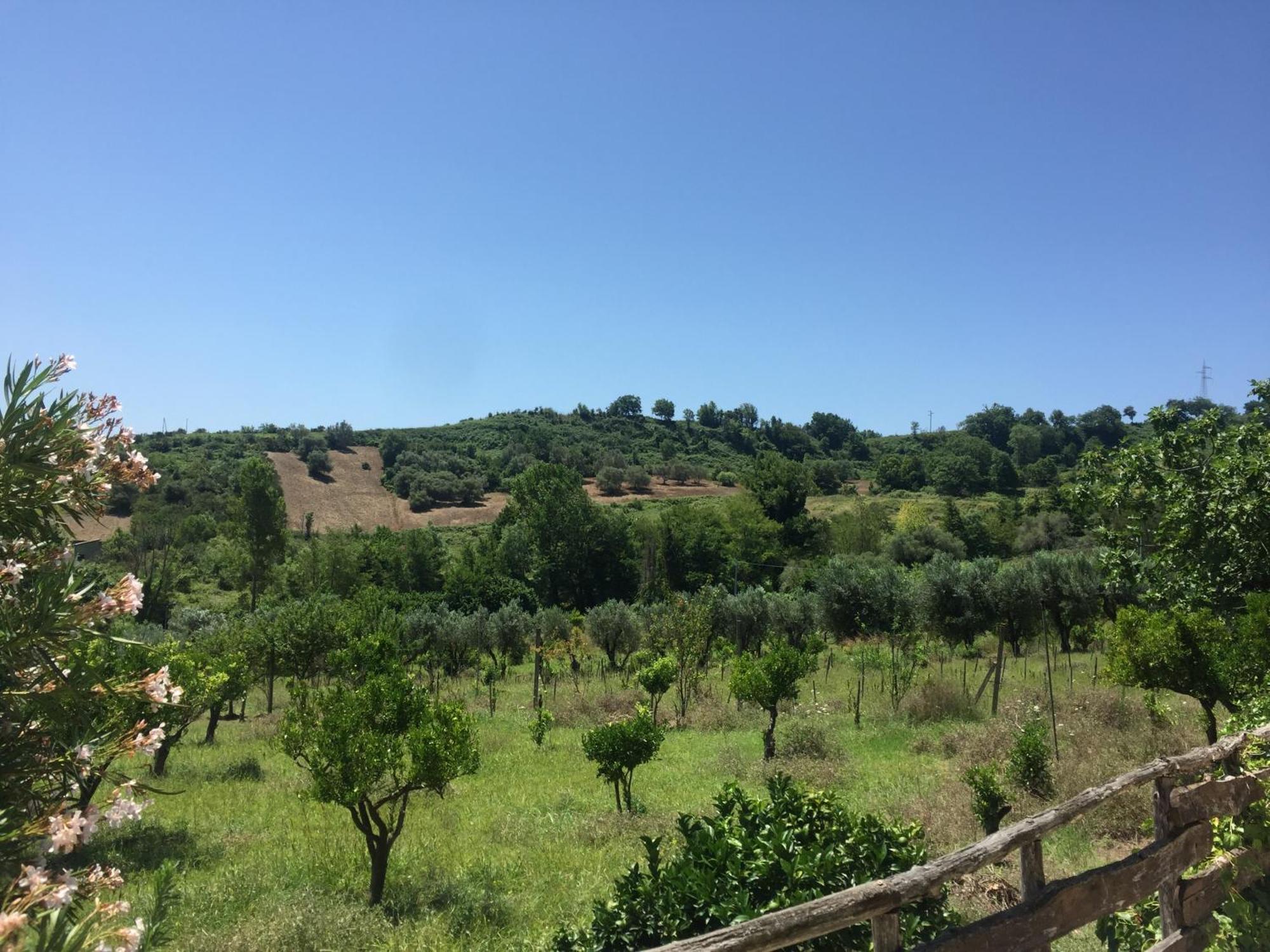 Il Borgo Sul Lago Pizzo Kültér fotó